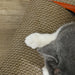 Car-Shaped Cat Scratcher Bed with Catnip | Corrugated Cardboard Design - Fun and Functional PAWHUT - Little and Giant Explorers PawHut