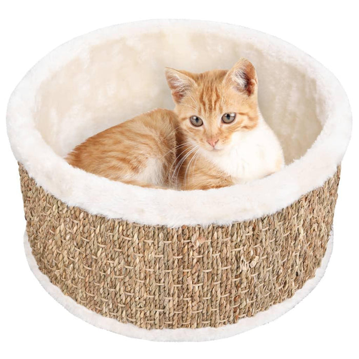Orange cat in round seagrass and plush cat bed with scratch-resistant beige design
