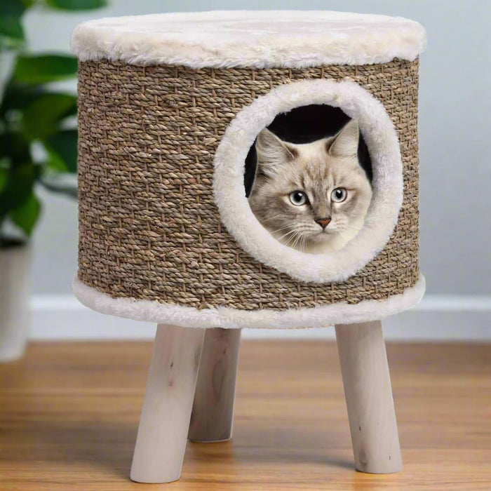 Cat House with Wooden Legs in Seagrass - Little and Giant Explorers vidaXL