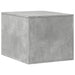 Cat Litter Box Enclosure – Concrete Grey Engineered Wood | Multi-Use Cat House VIDAXL - Little and Giant Explorers vidaXL