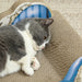 Cat Scratcher Sofa Bed with Catnip | Corrugated Paper Design - Furniture Protection PAWHUT - Little and Giant Explorers PawHut