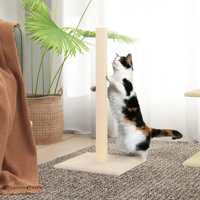 Calico cat using cream cat scratching post with natural sisal in cozy living room