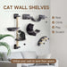 Cat Shelf Set Dark Grey | Wall-Mounted Design with Modular Layout - Little and Giant Explorers PawHut