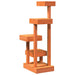 Cat Tree Wax Brown 45.5x49x103 cm Solid Wood Pine - Little and Giant Explorers vidaXL