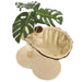 Cat Tree with Sisal Scratching Post in Beige and Brown - Little and Giant Explorers vidaXL