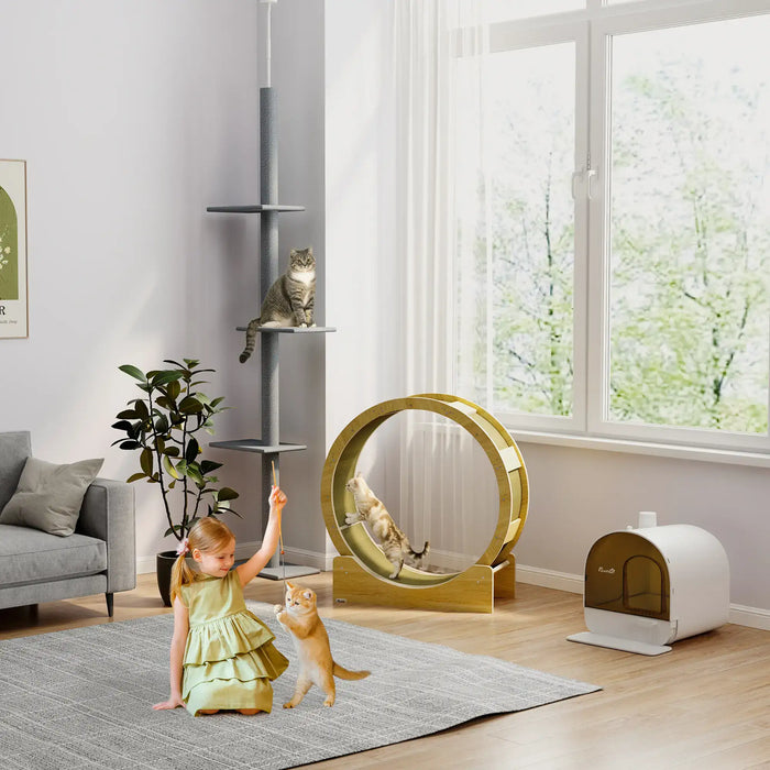 Cat Wheel Oak | Exercise Wheel with Built-In Brake System - Little and Giant Explorers PawHut