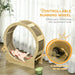 Cat Wheel Oak | Exercise Wheel with Built-In Brake System - Little and Giant Explorers PawHut