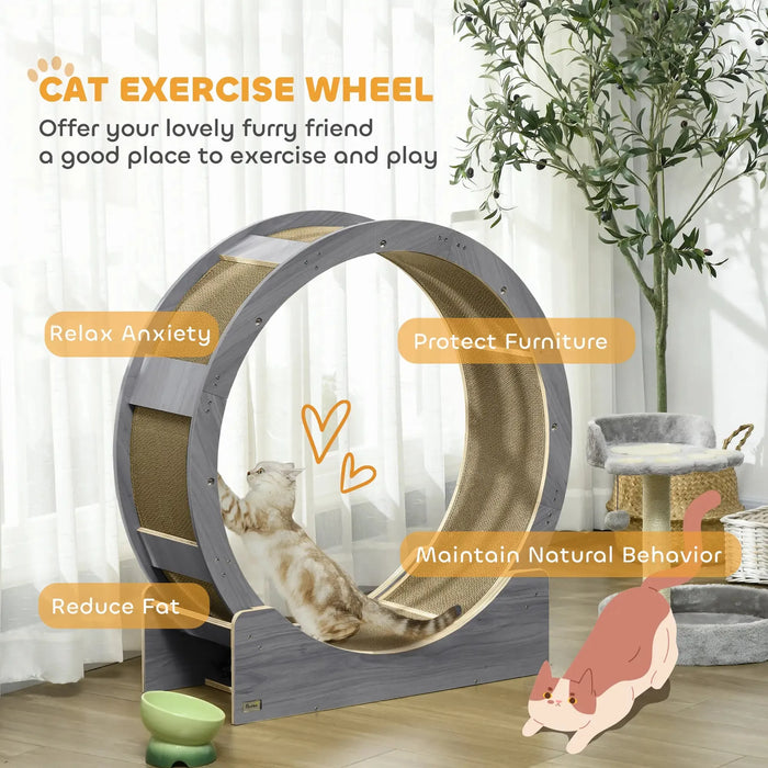 Cat Wheel with Brake and Scratching Pads in Grey - Little and Giant Explorers PawHut