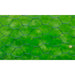 Chicken Wire Fence with PVC Coating in Green (25 x 0.5m) - Little and Giant Explorers vidaXL