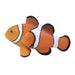 Clown Fish Toy - Realistic Ocean Animal Model | Educational Animal Figurine MOJO FUN - Little and Giant Explorers Mojo Fun