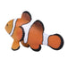 Clown Fish Toy - Realistic Ocean Animal Model | Educational Animal Figurine MOJO FUN - Little and Giant Explorers Mojo Fun