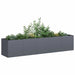 Anthracite cold rolled steel raised garden bed planter with assorted green plants and flowers