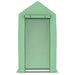 Greenhouse with Steel Frame 0.5m² (1 x 0.5 x 1.9m) - Little and Giant Explorers vidaXL