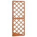 Corner Trellis in Solid Fir Wood (50 x 50 x 145cm) - Little and Giant Explorers vidaXL