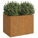 Rectangular corten steel garden planter filled with lush green plants against white background