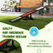 Dog Agility Seesaw – Fir Wood | Outdoor Exercise Equipment for Dogs up to 30kg PAWHUT - Little and Giant Explorers PawHut