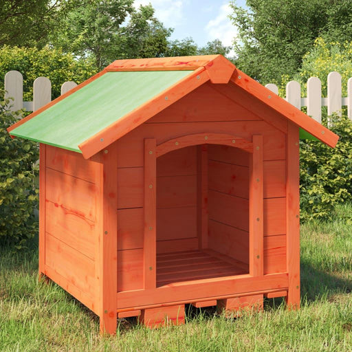 Dog Kennel in Brown and Solid Wood Pine (65 x 65 x 61.5cm) - Little and Giant Explorers vidaXL