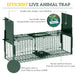 Dual Entry Humane Rat Trap – Green | Steel Live Catch Cage - Auto-Locking Doors PAWHUT - Little and Giant Explorers PawHut