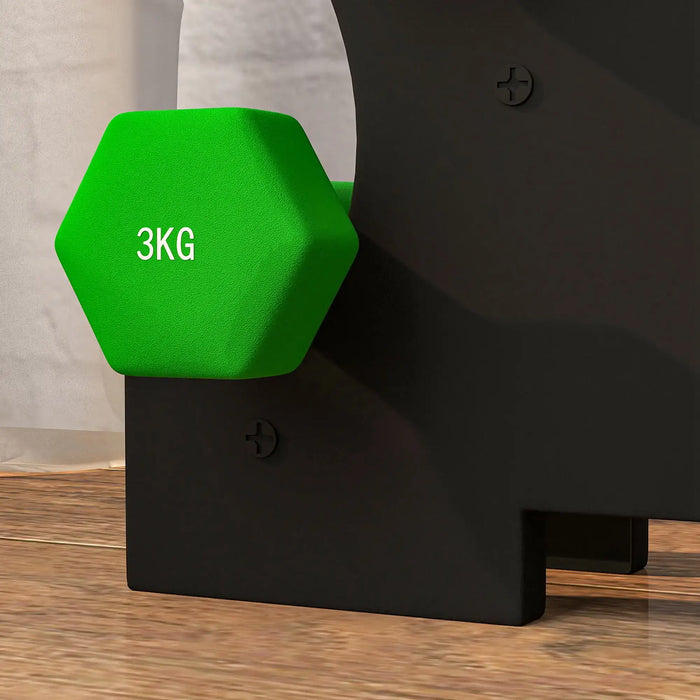 2x1kg, 2x2kg, 2x3kg Dumbbells Set with Dumbbell Rack - Little and Giant Explorers SPORTNOW