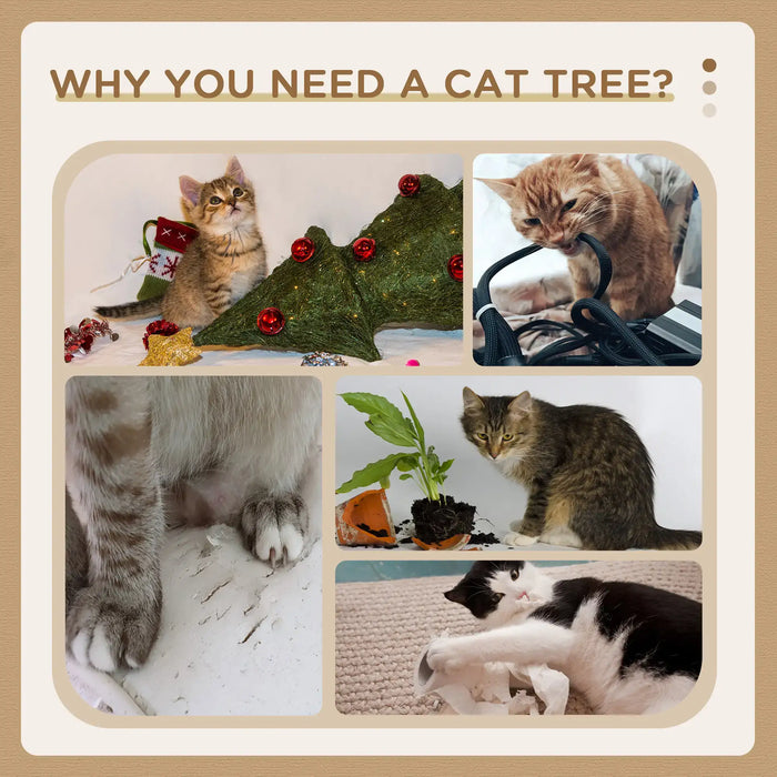 Collage of cats causing household damage, highlighting why you need a cat tree for scratching and play