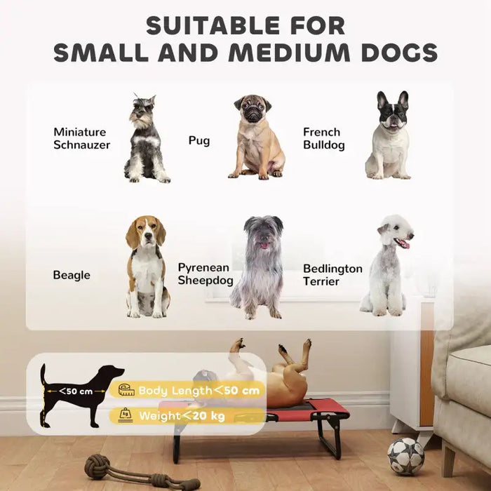 Elevated Dog Bed - Red | Portable Raised Pet Cot with Breathable Mesh - Up to 20kg PAWHUT - Little and Giant Explorers PawHut
