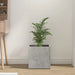 Engineered Wood Planter Box | Concrete Grey with Smooth Surface and Moisture Resistance - Little and Giant Explorers vidaXL