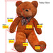 Brown teddy bear with measurement labels on a white background