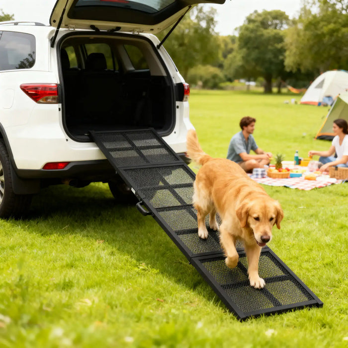 Dog using a pet ramp to enter an open car trunk in a park setting with people and picnic setup.