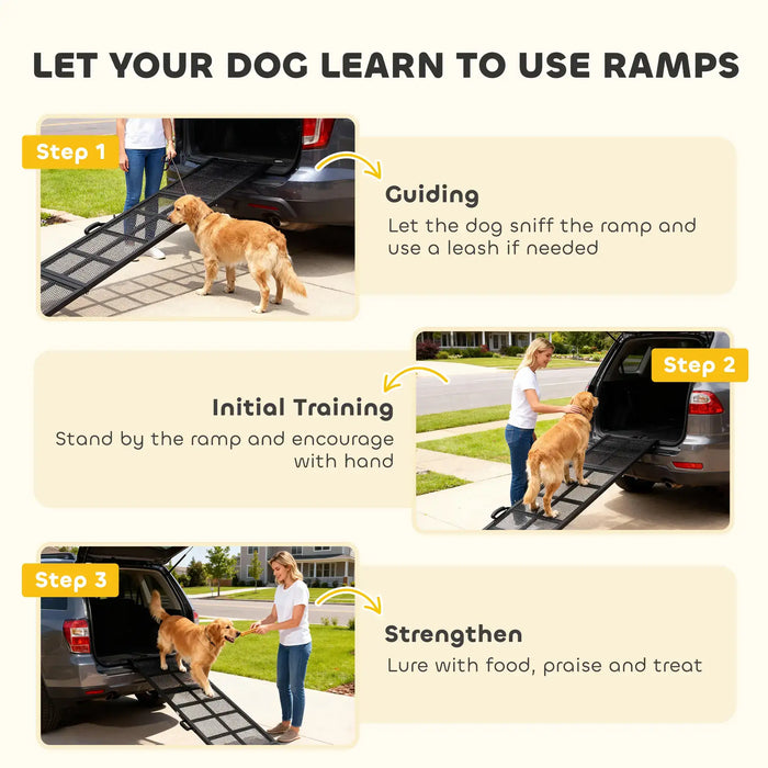 Step-by-step guide on teaching a dog to use a ramp with visual examples and text instructions.