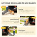 Step-by-step guide on teaching a dog to use a ramp with visual examples and text instructions.
