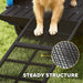 Dog standing on a black pet ramp with a close-up of the textured surface, labeled 'Steady Structure'.