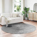 Round gray rug on a wooden floor in a living room with a white sofa and decorative items.