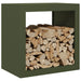 Firewood Rack in Green (60 x 40 x 60cm) - Little and Giant Explorers vidaXL