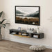 Floating black and wood TV cabinet with cable management in modern living room with natural decor