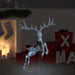 Flying Reindeer Christmas Decoration 120 Cold White LEDs in White - Little and Giant Explorers vidaXL