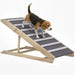 Beagle dog on adjustable wooden pet ramp with gray carpeted surface