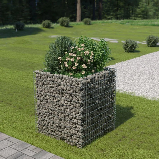 Gabion raised bed with galvanized steel mesh, filled with rocks and green plants, in a garden setting.