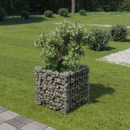 Gabion Raised Bed in Galvanised Steel (50 x 50 x 50cm) - Little and Giant Explorers vidaXL