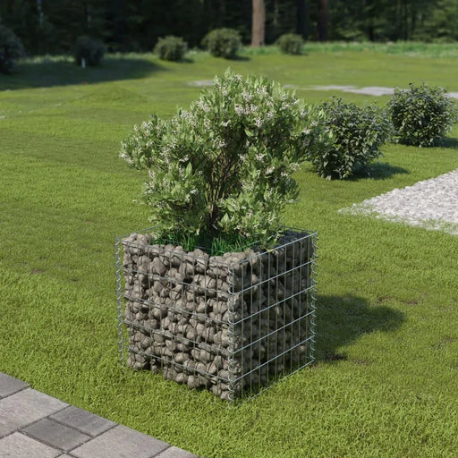 Gabion Raised Bed in Galvanised Steel (50 x 50 x 50cm) - Little and Giant Explorers vidaXL