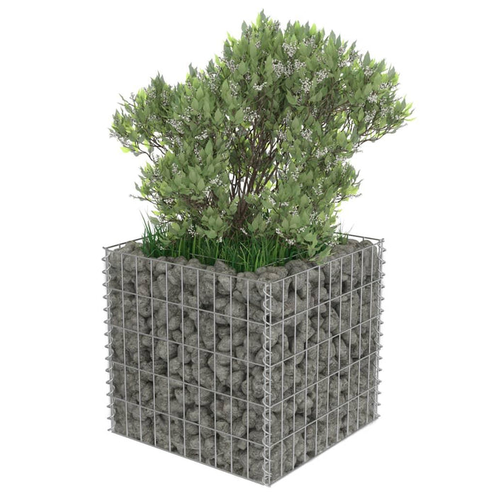 Gabion Raised Bed in Galvanised Steel (50 x 50 x 50cm) - Little and Giant Explorers vidaXL