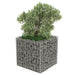 Gabion Raised Bed in Galvanised Steel (50 x 50 x 50cm) - Little and Giant Explorers vidaXL