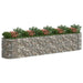 Gabion raised bed planter with galvanized iron mesh and rock fill, blooming pink flowers on top