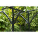 Garden Arch in Black and Metal (114 x 66 x 232cm) - Little and Giant Explorers Nature