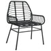 Garden Chairs 2 pcs Black Poly Rattan - Little and Giant Explorers vidaXL