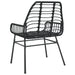 Garden Chairs 2 pcs Black Poly Rattan - Little and Giant Explorers vidaXL