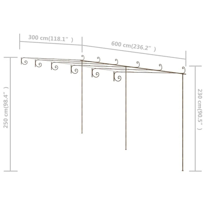 Garden Pergola in Antique Brown and Iron (6 x 3 x 2.5m) - Little and Giant Explorers vidaXL