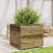 Garden Planter in Impregnated Wood Pine (80 x 80 x 72cm) - Little and Giant Explorers vidaXL