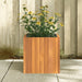 Garden Planter in Solid Wood Acacia (35 x 35 x 35cm) - Little and Giant Explorers vidaXL