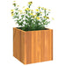 Garden Planter in Solid Wood Acacia (35 x 35 x 35cm) - Little and Giant Explorers vidaXL