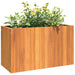 Garden Planter in Solid Wood Acacia (59 x 27.5 x 35cm) - Little and Giant Explorers vidaXL